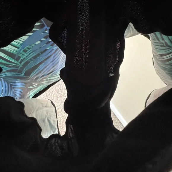 EUC Tropical Leaf Print Patterned Women's Shorts L Large - Picture 5 of 7